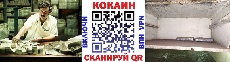где купить   Петрозаводск  COCAIN FishScale 