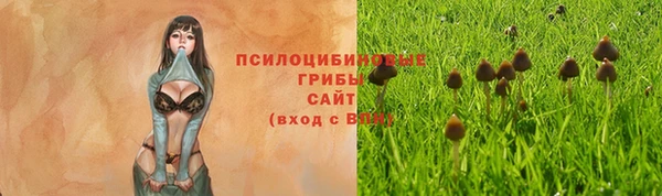 амф Вязьма