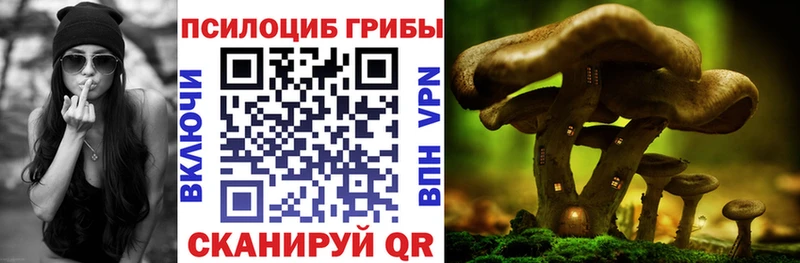 Галлюциногенные грибы Psilocybine cubensis  Петрозаводск 